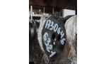 Розподільчий вал