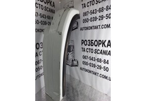 Крило переднє